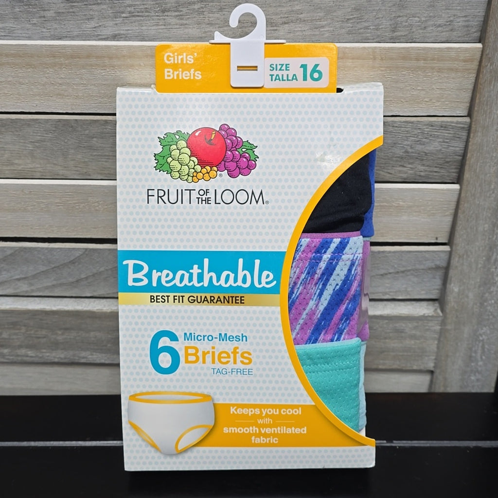 Breathable Girls' 6pk Micro-Mesh Classic Briefs | Fruit of the Loom | 16